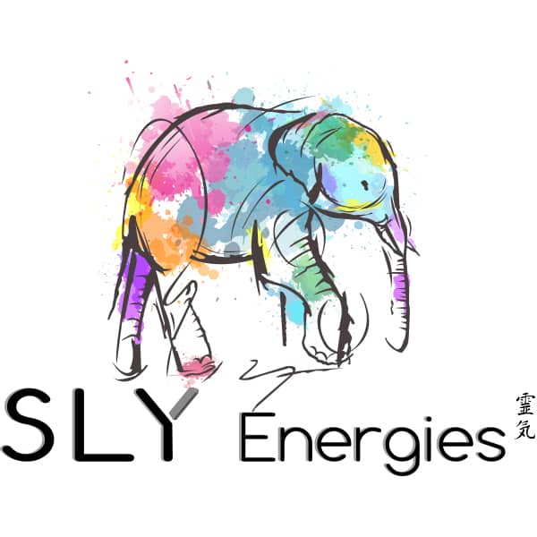 logo pour auto entrepreneur sly energies